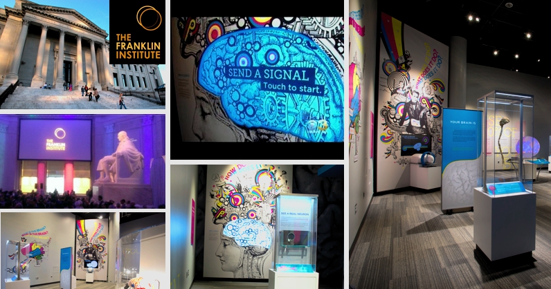 Your Brain exhibit scenic graphics and illustrations